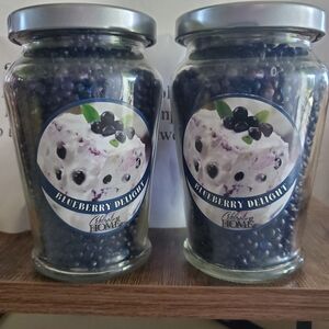 Blueberry Aroma crystals for Warmer or Sachet Home Interiors does not melt NEW